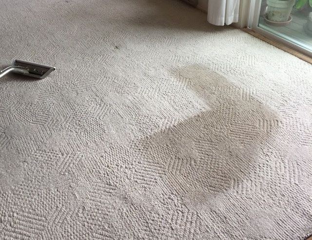 Carpet Cleaning